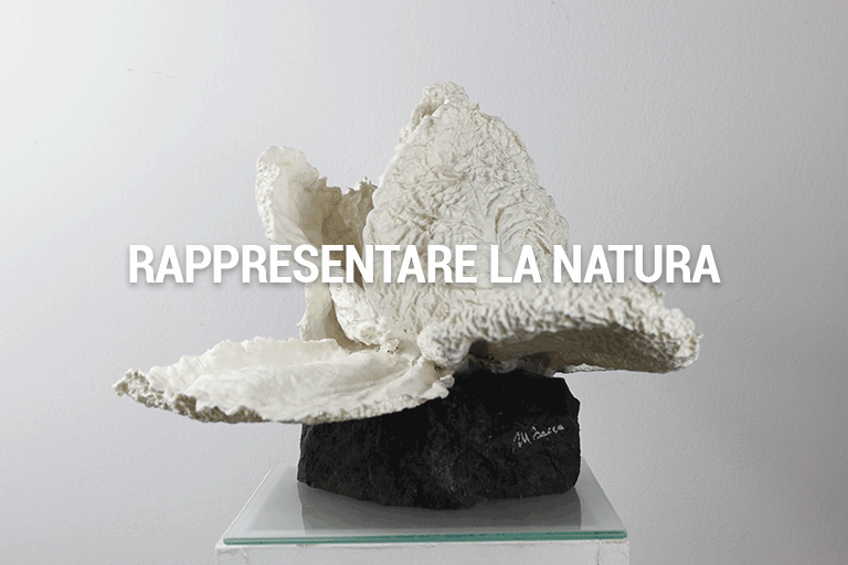 RappresentarelaNatura